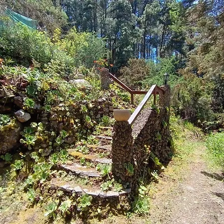 El Sanguino * El Amparo