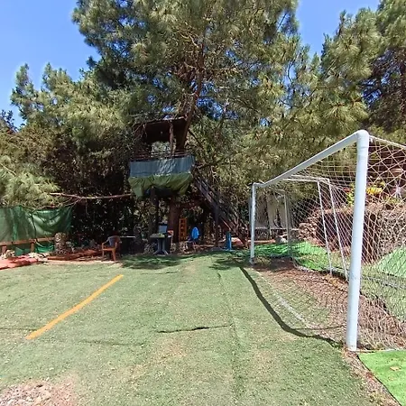 El Sanguino El Amparo