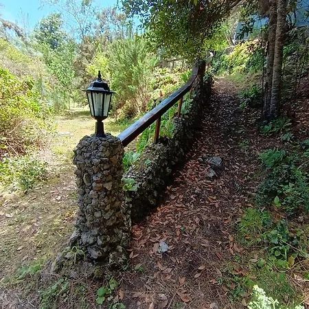 El Sanguino *