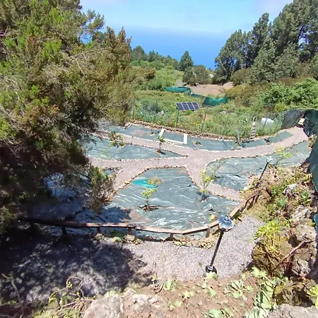 El Sanguino